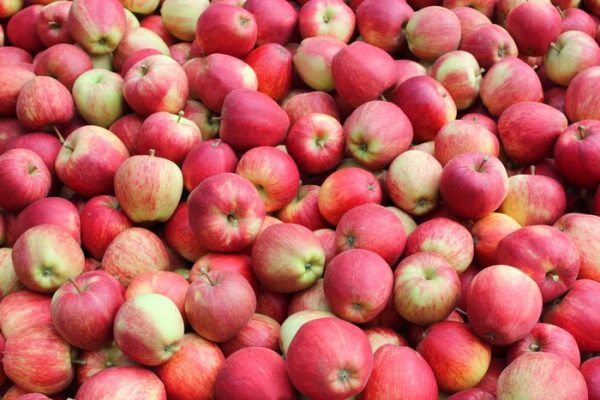 Apples 5kg - Image 3