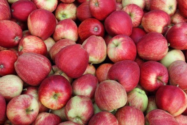 Apples 5kg
